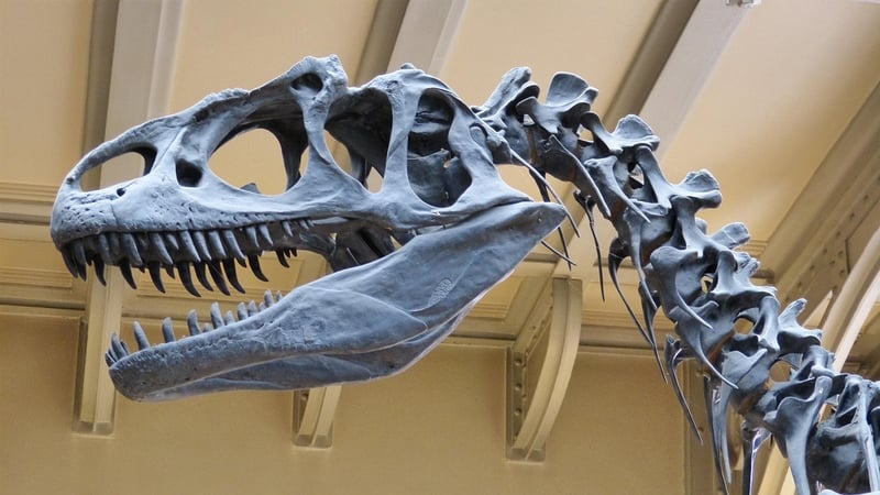 Zigong Dinosaur Museum